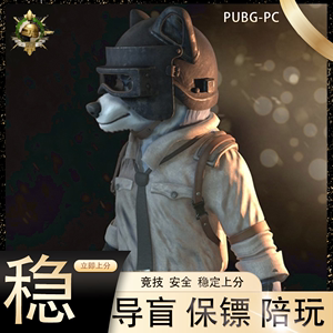 PUBG绝地求生专业保镖陪玩代练竞技排位上分导盲犬定位赛科技服务