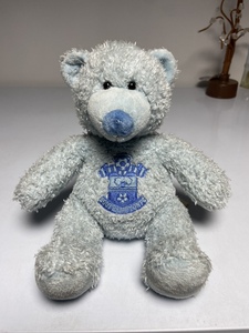 外贸样板sample孤品 南安普顿足球队纪念品小熊 柔软蓝色泰迪熊