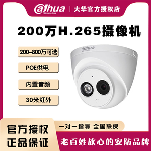 大华200-800万poe半球音频手机远程网络摄像头高清夜视监控摄影器