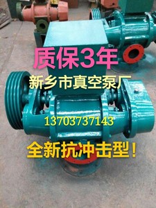 ZBK33 13 15 16厂家罗茨真空泵环保抽烟脱水化工造纸蛋托制药