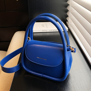 克莱因蓝色小众包包女2024新款春夏百搭斜挎小包高级感时尚手提包