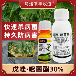 广农汇泽泽妙丰戊唑醇嘧菌酯炭疽病黄瓜蔬菜专用嘧菌脂农药大全