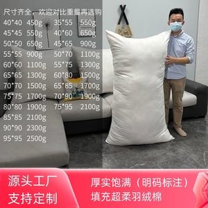 可定制羽绒棉抱枕芯定做45 50 60 65 70超大抱枕长方形沙发靠垫芯