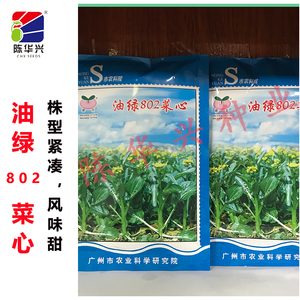 陈华兴 广州乾农农业科技油绿802菜心种子齐口花生势强迟熟耐贮运