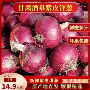 甘肃酒泉紫皮洋葱9-10斤新鲜洋葱应季农家自种蔬菜红皮洋葱头包邮
