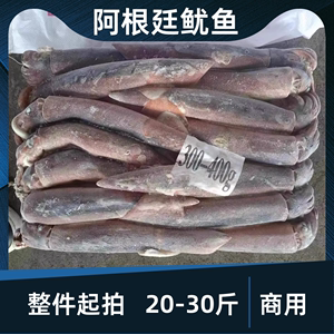阿根廷冷冻鱿鱼300-400g规格鲜活铁板鱿碳烧烤串八爪鱼须海鲜商用