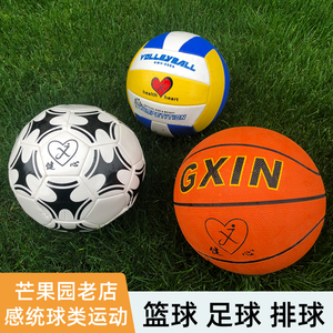 篮球足球排球儿童球感统训练组合户外软球幼儿园专用玩具小皮球