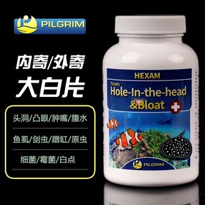 正品英国大白片鱼药龙鱼魟鱼内外寄头洞蒙凸眼七彩罗汉鱼腹水肠炎