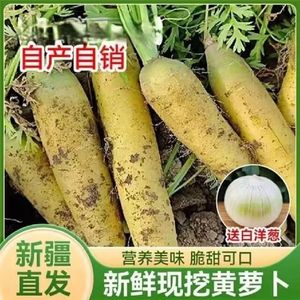 新疆黄萝卜黄胡萝卜黄心罗卜新鲜带泥农家自种手抓饭专用3斤5斤10