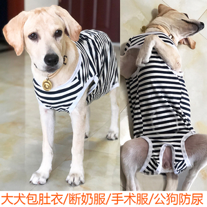 大型犬包肚衣服金毛拉布拉多母狗断奶服护肚子纯棉绝育服护肚防舔