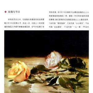 【新疆包邮】_欧洲名花的故事 玫瑰百合月季郁金香康乃馨风信子鸢