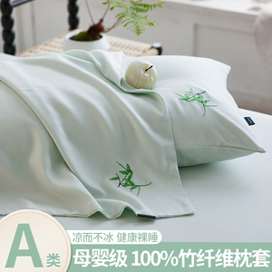 夏季A类竹纤维绣花枕套家用轻奢枕头套防头油2024新款枕套一对装
