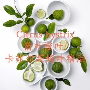 La tienda 箭叶橙/卡菲尔莱姆叶精油Petitgrain Kaffir Lime 10ML