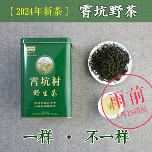 2024新茶 正宗霄坑野茶 安徽池州肖坑村特产高山野生绿茶叶