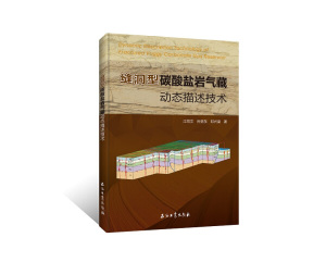 正版图书 缝洞型碳酸盐岩气藏动态描述技术专著江同文，孙贺东，