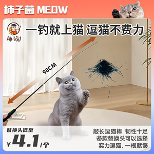 【柿子菌】DIY猫咪自嗨解闷逗猫棒 宠物互动玩具可撕咬毛绒不易坏