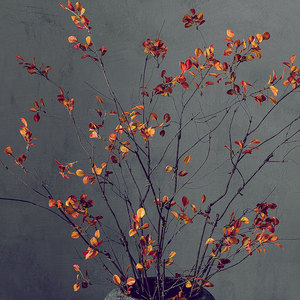 假树枝黄秋叶仿真树叶摆设客厅装饰花家居花中式花艺干花室内插花