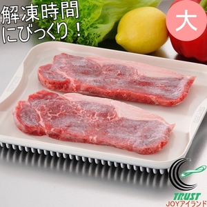 日本进口食物解冻板家用厨房牛肉海鲜鱼虾铝合金快速解冻盘大小号