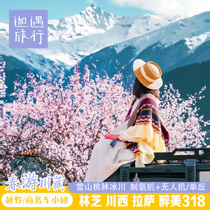 无人机♥川藏线318跟团游林芝桃花节西藏旅游稻城亚丁自驾10日