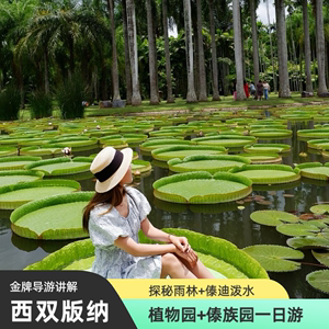西双版纳中国科学院热带植物园+傣族园纯玩一日游|金牌导游讲解