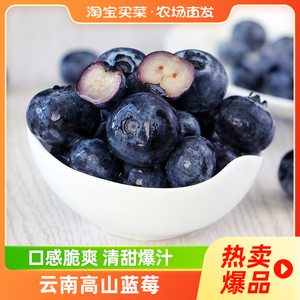 云南蓝莓高原新鲜浆果酸甜时令水果蓝莓当季水果百亿补贴