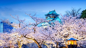 日本旅游5日跟团半自助游大阪京都奈良神户办日本签证全国出发