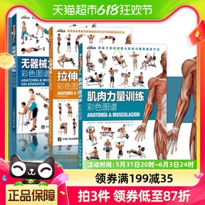 肌肉力量训练彩色图谱拉伸训练无器械力量训练运动健身书籍3册