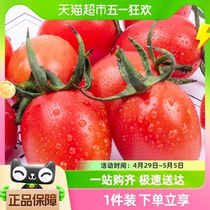 顺丰丛林千味福瑞贝贝小番茄现摘蔬菜生吃水果西红柿非千禧番茄