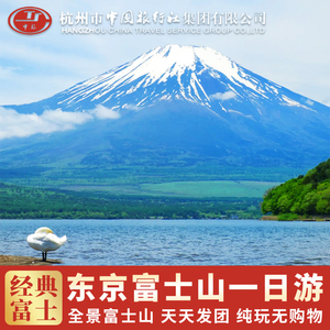 日本东京富士山一日游日川时计店罗森忍野八海奥莱河口湖温泉旅游