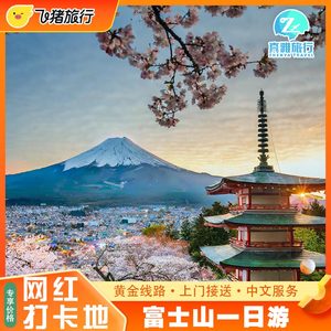 日本东京富士山一日游天梯小镇镰仓箱根河口湖忍野八海可升级接送