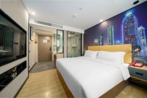 深圳枫霖酒店（国贸地铁站店）丽致大床房