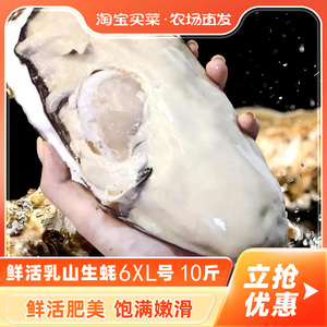 鲜活乳山生蚝6XL 10斤新鲜牡蛎超大肉海蛎子带壳刺身即食海鲜水产