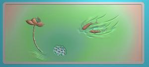 荷花茶盘精雕图灰度图浮雕图 鲤鱼荷花新品茶盘 莲花莲子茶盘雕刻