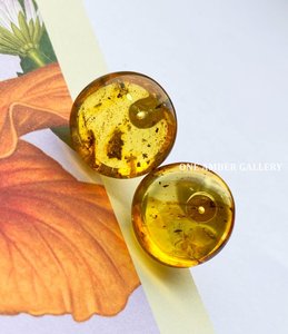 人工琥珀昆虫 人工琥珀昆虫品牌 价格 阿里巴巴