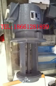 ISHAN台湾裕祥浸水式马达机床水泵冷却泵切削液泵YC-8-4-3 1/4HP