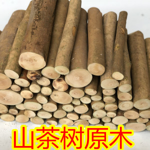 原料装饰原木油茶木油茶树木料圆木工艺品料雕刻料子料diy