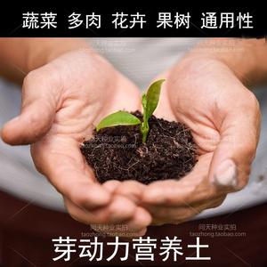 配置好的泥炭土营养土种花土种菜土多肉种植土育苗土好种好养a 阿里巴巴找货神器 配置好的泥炭土营养土种花土种菜土多肉种植土育苗土好种好养a 阿里巴巴找货神器