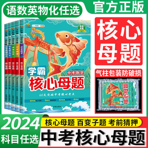 2024中考真题学霸核心母题数学物理化学语文英语作文解题模板初中七八九年级同步初二三培优专项训练必刷题中考考点总复习资料书