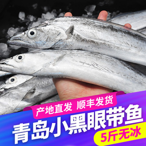 青岛带鱼整条海鲜黄海冰冻新鲜鲜活冷冻小眼油带鱼非刀鱼整箱5斤