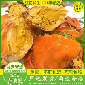 深圳头手黄油蟹4-5两/只鲜活野生水产大膏蟹羔香肉甜青蟹顺丰包邮