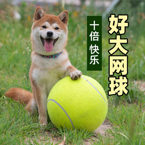狗狗玩具球十倍快乐球超大网球24cm柯基法斗柴犬逗狗解闷宠物用品