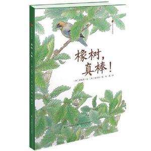 正版二手书亲近自然生态绘本橡树真棒李娍实江苏科学技术出版社