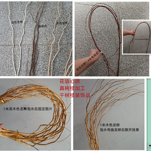 真树枝加工干树枝装饰品可弯曲造型DIY手工树枝材料干支龙柳树枝