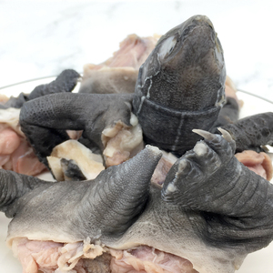 中华草龟乌龟肉鲜活宰杀生鲜冷冻新鲜食用火锅食材类非王八鳖甲鱼