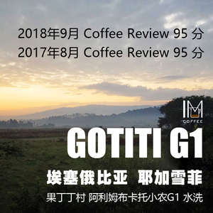 CoffeeReview95 分 埃塞 耶加雪菲产区果丁丁村水洗G1咖啡豆227g