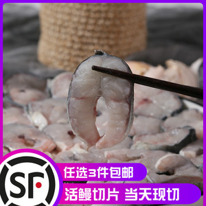 福建鳗鱼鲜活整条切片新鲜水产商用豆豉蒸鳗鱼日本鳗鱼河鳗鲡顺丰