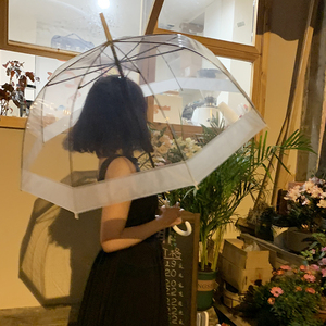 韩系ins风透明雨伞长柄自动情侣网红雨伞接边加固防风女弯钩雨伞