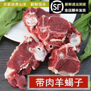 带肉羊蝎子500g新鲜羊蝎子 羊蝎子骨 肉蝎子 羊骨头山羊蝎子放养