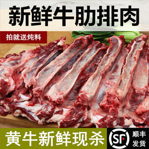 新鲜牛肉牛肋排肉500g放养黄牛现杀牛肋条牛五花牛排肉牛腩牛排骨