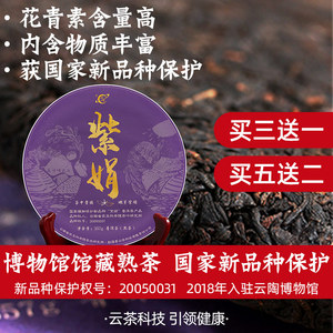 2022年云茶科技普洱茶熟茶饼母本紫娟熟茶云南茶科所研制357g紫鹃